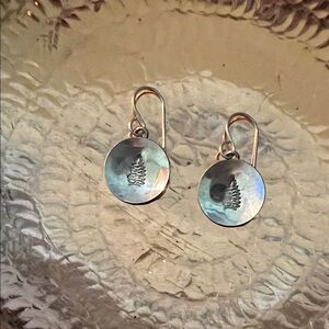 Elegant Silver Disc Earrings